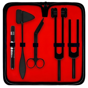 Kit de diagnostic professionnel avec marteau de réflexe de Taylor, diapasons C128 C512, lampe stylo, étui de transport – Fournisseur en gros - Product Image 5