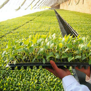 Invernadero de verduras, semillas, flores, hierba, semillas, brotes, transplantador - Product Image 1