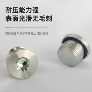 4MN-WD Metric Carbon Steel Galvanized External Thread Hexagonal <b>Plug</b> with <b>Rubber</b> Gasket Seal Product Category Seals - Product Image 4