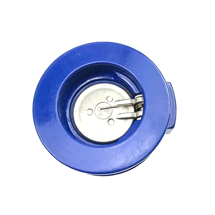 DN80 PN16 ductile iron single disc lift check valve