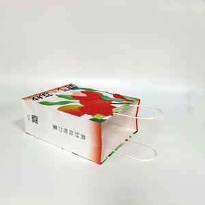 Bolsa de Papel Kraft Blanca con Impresión Completa, Materiales Reciclados, Embalaje para Bebidas, Bolsa para Llevar Comida, Asa Larga, Logotipo OEM, Té - Product Image 5