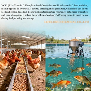 Fosfato de Vitamina C al 35% de Grado Alimenticio, Polvo de <span class=keywords><strong>L</strong></span>-Ascorbato-2-Fosfato para Alimento de Aves de Corral, Pollos y Patos - Product Image 3