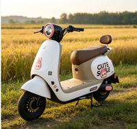 Vélo électrique à deux roues personnalisable en couleurs, cadre en alliage d'aluminium, véhicule de patrouille, sécurité communautaire, défense des biens, économique