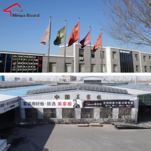 Tablero de Aglomerado Recubierto de Melamina Estilo Shaker Europeo Simple 1220x2440mm, Líneas Limpias, Admite Personalización para Armarios - Product Image 6