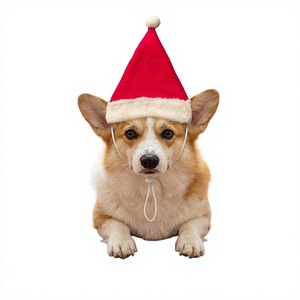Chapeaux de Noël transfrontaliers en polyester pour chats et chiens – Accessoires festifs monochromes de dessin animé pour l'hiver – Usine JiangXi - Product Image 1