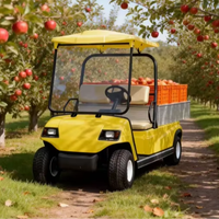 Carrito de Golf con Plataforma Abierta A2.H8, Gran Área de Carga, ¡Oferta!