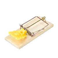Piège à ressort en bois massif écologique et durable pour le contrôle des animaux, des souris, des rats, des nuisibles, des insectes, portable, utilisable pendant 3 ans