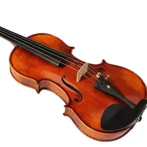 火焰枫木专业4/4高级小提琴手工油漆棕色小提琴，贝壳和弓