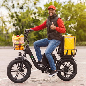 <span class=keywords><strong>Meilleur</strong></span> vélo électrique de livraison de nourriture, pneus anti-crevaison de 20 pouces, batterie double 50ah, autonomie de 150 km, 7 vitesses, vélo de livraison de nourriture urbain - Product Image 1