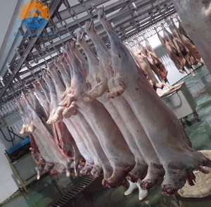 Solution clé en main pour l'abattage halal des moutons, abattoir de chèvres, ligne de traitement de la viande de carcasses, équipement d'abattage d'<span class=keywords><strong>agneaux</strong></span>, machine d'abattage - Product Image 1