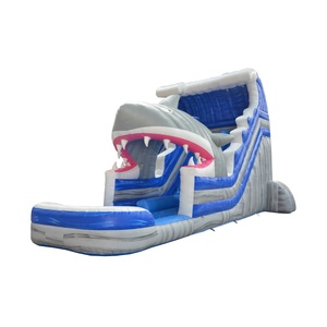 Parc aquatique gonflable commercial avec une zone de jeux aquatiques fraîche à la base, idéal pour les centres aquatiques et les installations sportives - Product Image 1