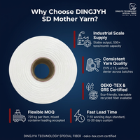 Fil mère en nylon 6 semi-mat (SD) pour la fabrication de monofilaments fendus 180D-500D, fil fendu en polyamide 6 pour tissu mat