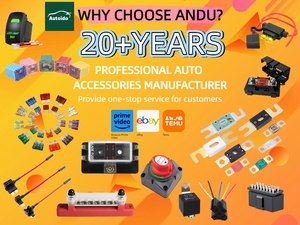 Fusible Maxi Standard 20A à 100A en Zinc pour Voiture, Moto, SUV - Pièces de Rechange pour Système Électrique - Product Image 4