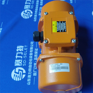 Motor de Vibración Italvibras MVSI 15/80-S02 230/400 VAC 3000 RPM para Uso Industrial - Product Image 4