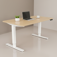 Bureau debout électrique à double moteur, moderne, en fer, intelligent, réglable en hauteur, ergonomique, motorisé, écologique, avec cadre de bureau