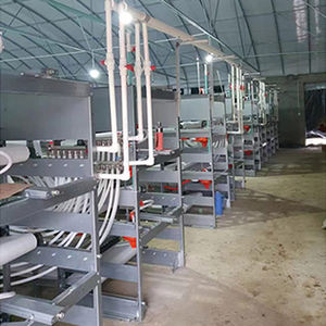 Cage pour poulets de chair à batterie automatisée de 5 à 6 semaines, nouvelle maison de couche de condition pour l'utilisation de la ferme de lapins et d'oiseaux pour les fermes du Kenya - Product Image 3