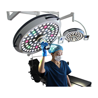 Lampe d'opération vétérinaire à LED de plafond homologuée CE, système de caméra, lampe de salle d'opération, fabricant de lampes chirurgicales à LED