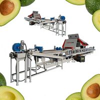 Avocado Citrus Multifunctionele Weeg- en Sorteermachine