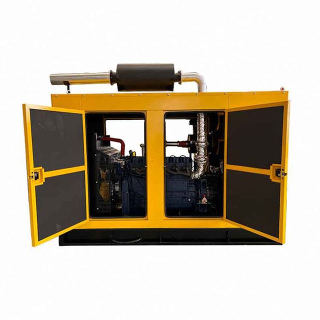 750kw Biogas Natural Gas Dual Fuel Generator