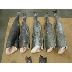 Filet de morue noire de qualité supérieure Kingsun Foods, morue HG congelée dans un processus IQF, emballée dans un sac - Product Image 2