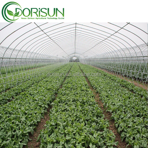 Poly — pulvérisateur à une seule portée résistant à l'eau et au soleil, en noir, pour effet serre <span class=keywords><strong>de</strong></span> brumisation, agricole, serre <span class=keywords><strong>de</strong></span> couleur verte, hiver - Product Image 2