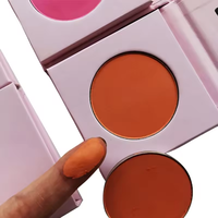 Palette de fard à joues 5 couleurs personnalisable avec votre logo, vente en gros OEM ODM sous marque privée
