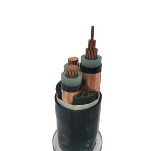 <span class=keywords><strong>สาย</strong></span>เคเบิล CV แบบมีฉนวนโพลีเอทิลีนเชื่อมโยงข้าม 6.6kV 11kV 22kV 33kV พร้อมปลอกหุ้มไวนิล <span class=keywords><strong>สาย</strong></span>เคเบิล CVT - Product Image 6