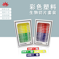For Children Usage 24pcs Set Customized Russian Plastic Prepared Slides Set Science Promotional Gifts