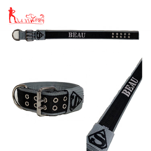 Set Collare e Guinzaglio per Cani in Nylon con Fibbia <span class=keywords><strong>a</strong></span> Sgancio Rapido Regolabile, Colori Classici Solidi - Product Image 4