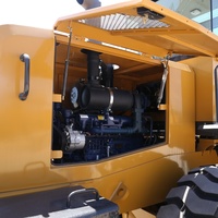 Cargadora de Ruedas Laituo 4WD con Motor Weichai, Capacidad de Carga de 3 Toneladas, Cargadora Compacta para Sudáfrica