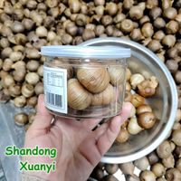 Ail Noir Solo Biologique à Bulbe Unique de Shandong, Fabricant d'Ail Noir