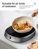 Plaque de cuisson à Induction Portable 2000W, nouveaux produits inventés, cuiseur à nouilles à Induction