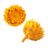 Vente en gros Meilleure Qualité dans la Boîte Grade A Véritable Tête de Tournesol Naturel Éternel Préservé 7-8 cm Tournesol