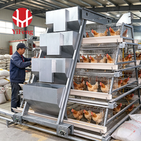 Cage à poules de type A à haute durabilité, en treillis métallique galvanisé antirouille, équipement pour poulailler, machine de collecte automatique des œufs