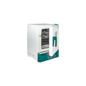 Horno de secado de aire caliente eléctrico de 125L Interior de acero inoxidable 304, RT + 10 ~ 300 ℃ Rango de temperatura Circulación de aire forzado para laboratorios industriales - Product Image 2