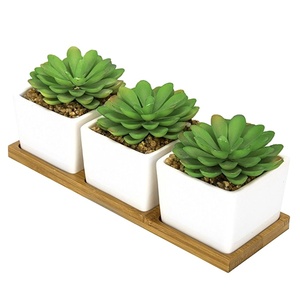 Artificiale Mini <span class=keywords><strong>Piante</strong></span> Succulente <span class=keywords><strong>in</strong></span> Piazza Bianco Vasi di <span class=keywords><strong>Ceramica</strong></span> - Product Image 1