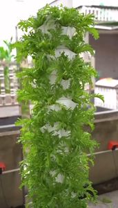 หอคอยไฮโดรโปนิกส์พร้อมระแนงไม้ระบบไฮโดรโปนิกส์ทางการเกษตรหอคอยแนวตั้งสำหรับปลูกผัก5ชั้น - Product Image 5