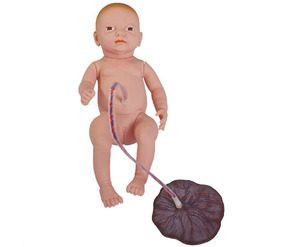 <span class=keywords><strong>BIX</strong></span>/123 modelo de enfermería anatómico PVC cuidado neonatal con placenta HERRAMIENTA DE CIENCIA MÉDICA - Product Image 1