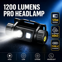 Lampe torche LED 1200lm personnalisée, fabriquée en usine depuis 44 ans, 2600mAh, étanche IP68, en alliage d'aluminium réglable, portée 125m, OEM ODM, moule gratuit