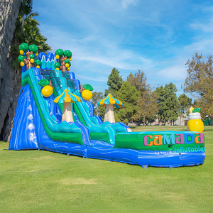 Toboggan aquatique gonflable en PVC le plus populaire pour adultes et enfants, avec souffleur de qualité supérieure - Product Image 3