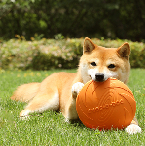 Dayanıklı turuncu yeşil Virous renkler köpek uçan disk tabağı interaktif ve hareket Pet oyuncaklar fristoys - Product Image 2