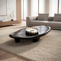 Table basse ovale irrégulière de luxe moderne et créative pour salon, en PRF (plastique renforcé de fibres de verre), noire, avec rangement facile