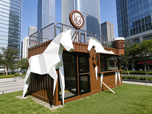 Комплект сборного дома из легких стальных конструкций, двухэтажная вилла-контейнер, дом из стальных конструкций RCBC, кабина, отель, офис - Product Image 5