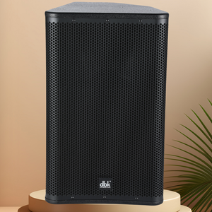 DBK Pro Audio 8英寸2路全频线阵列无源扬声器300W峰值功率波罗的海白蜡木胶合板DJ音乐会音响系统 - Product Image 1