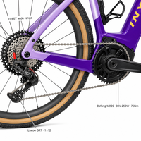 Vélo de gravier électrique entièrement en carbone avec moteur central 250W 75Nm, batterie 36V 15Ah, frein à disque hydraulique 12 vitesses, pneus 700x40C, ODM
