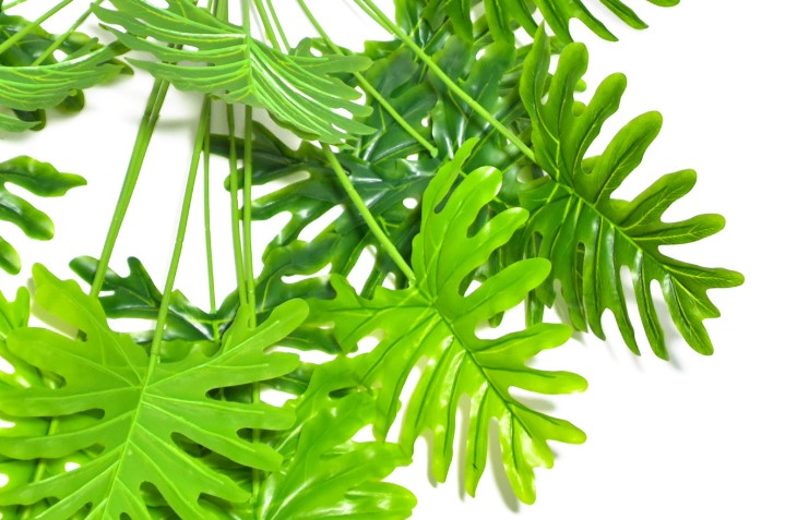 4 Piante Finte Da Appendere A Filamento - Piante Grasse Artificiali Con Perle, Decorazione Parete, 61 Cm - 2
