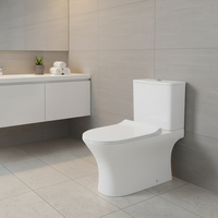 Cuvette de toilette en deux parties à double chasse d'eau de conception industrielle Siphonic Super Jet Washdown Hotels Options allongées P-Trap S-Trap à bas prix