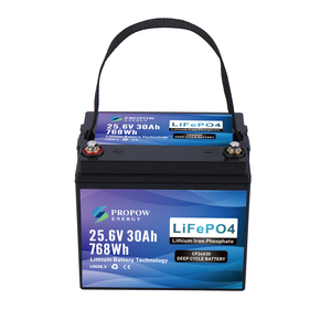 High Capacity OEM Rechargeable <b>24V</b> 30Ah 50Ah 105Ah 210Ah Lithium <b>Battery</b> Pack for Automated <b>24V</b> 30Ah High Capacity Supports up t - Product Image 3