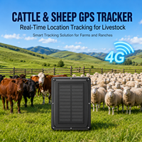 Traceur GPS pour bétail/bovins, recharge solaire, autonomie de 3 ans, étanche, suivi en temps réel, stockage cloud, suivi de la trajectoire