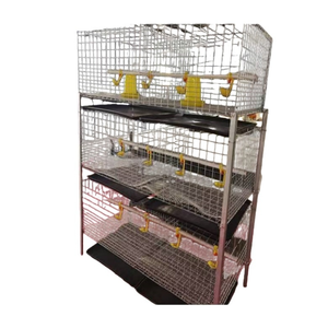 Nouveau Système Manuel Pratique pour l'Élevage <span class=keywords><strong>de</strong></span> Poulets <span class=keywords><strong>de</strong></span> Type H avec Fil en Acier à Faible Teneur en Carbone Q235 pour une Utilisation Facile dans les Fermes d'Élevage <span class=keywords><strong>de</strong></span> Poulets Pondeurs - Product Image 5